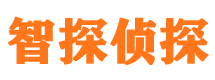 城固市调查公司